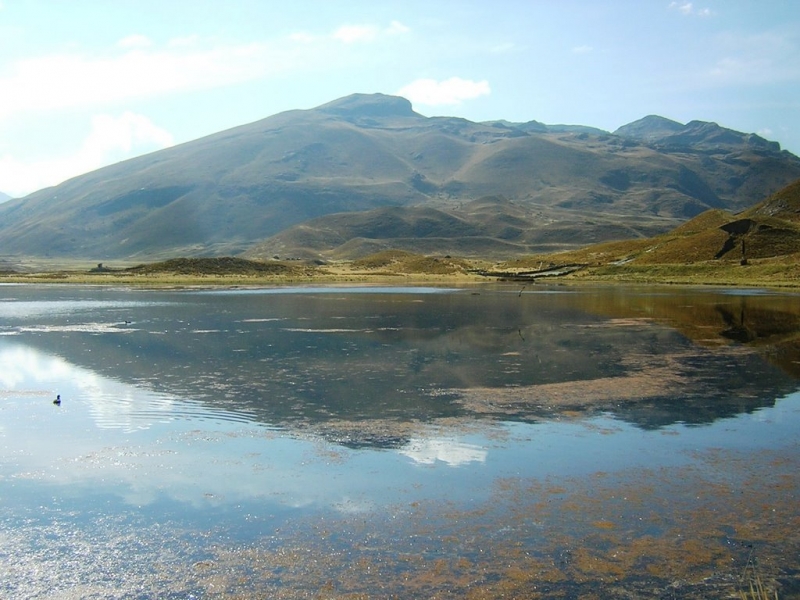 Cahuasquí